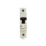 LEGRAND LX 1p B40A kismegszakító